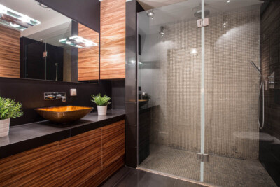 Glass Shower Doors